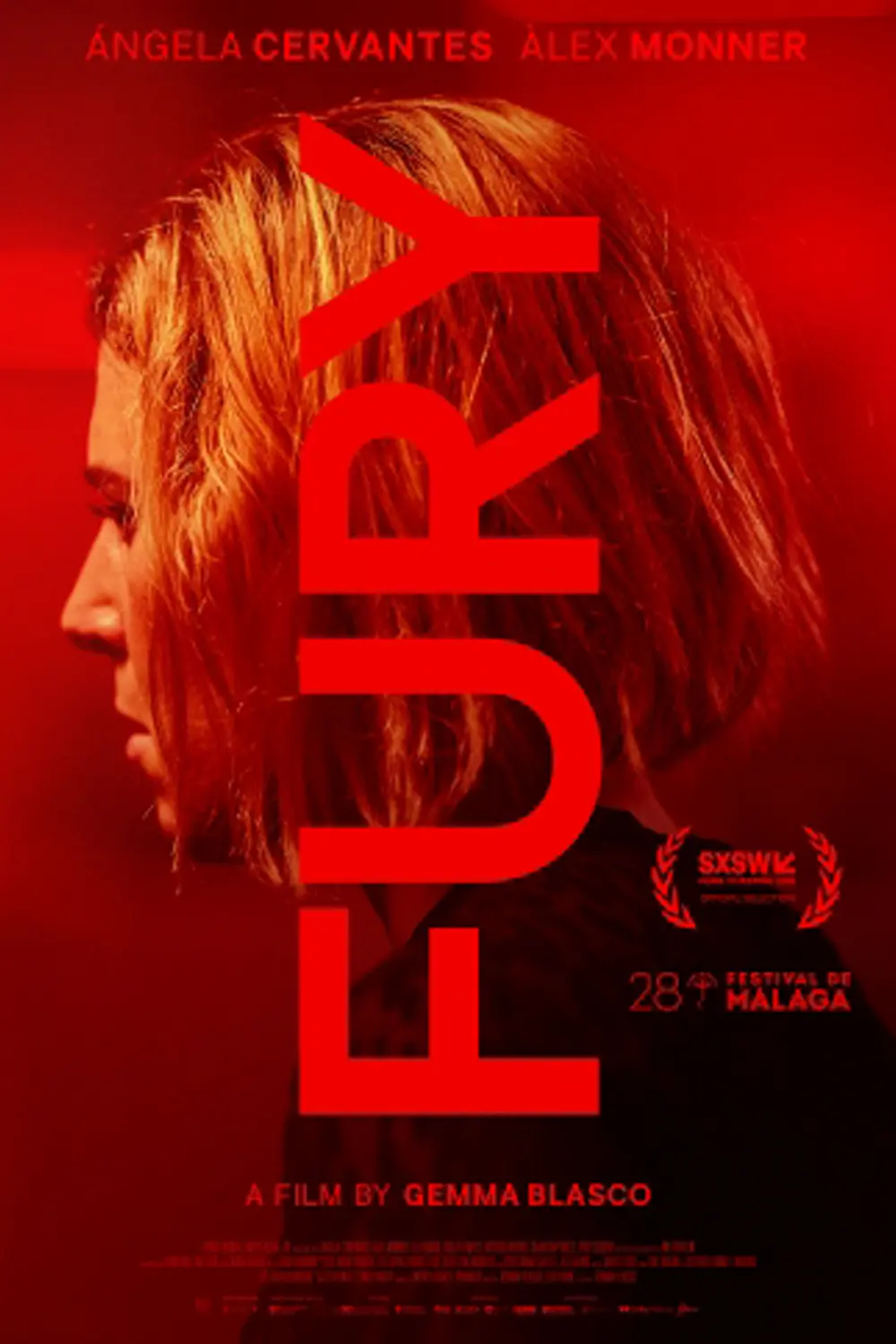 Fury image